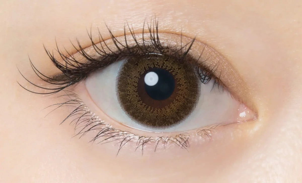 Flanmy 1-Day Power -06.00 Matcha Tart Contact Lenses (30 Per Box) - Made In Japan
