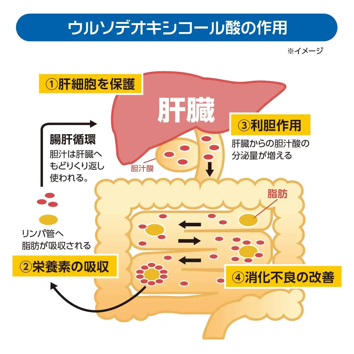 Sato Pharmaceutical Japan Rebaurso G 50Ml X 10 Third Drug Class