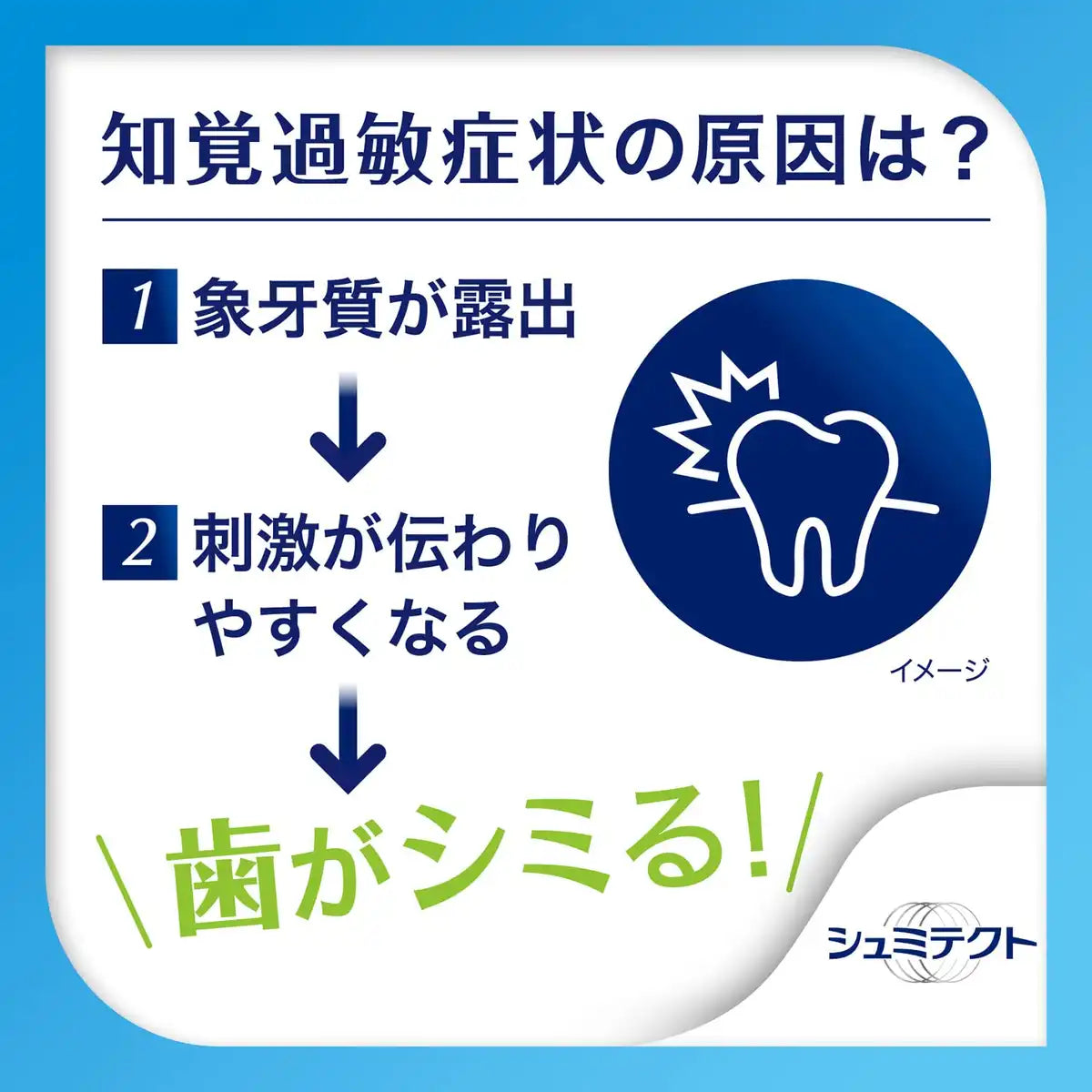 Schmitect Japan Complete One Ex Sensitive Care Fluorine Toothpaste 1450Ppm 1X1