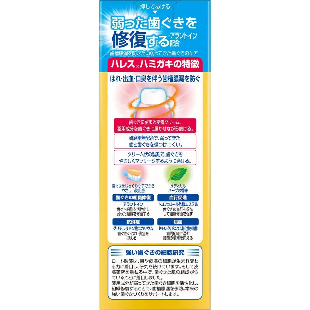 Rohto Pharmaceutical Hales Dentifrice 50g Tube Unique pour Soin Buccal