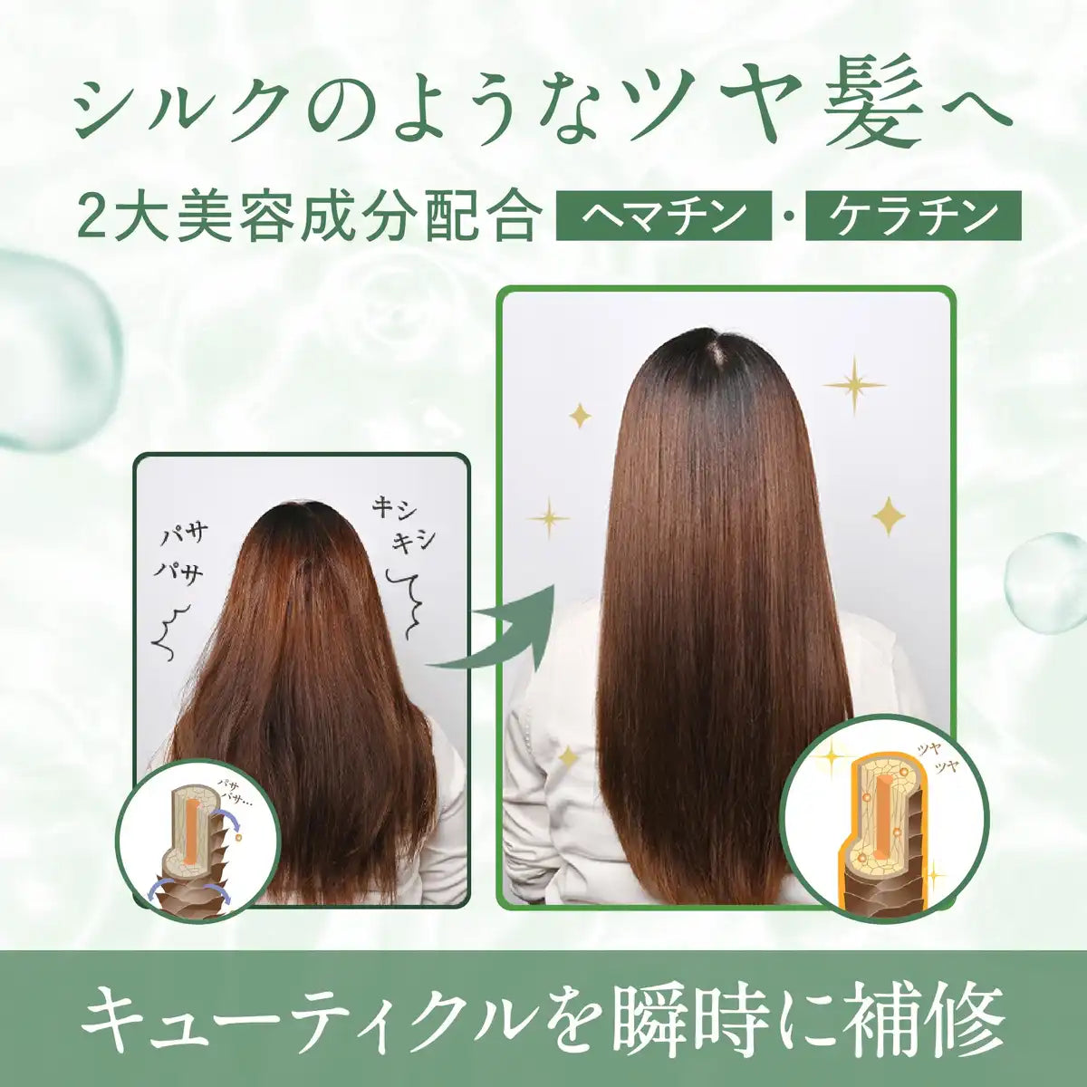 Macchia Label Clay Repair Shampoo Conditioner Treatment for Hair Shine