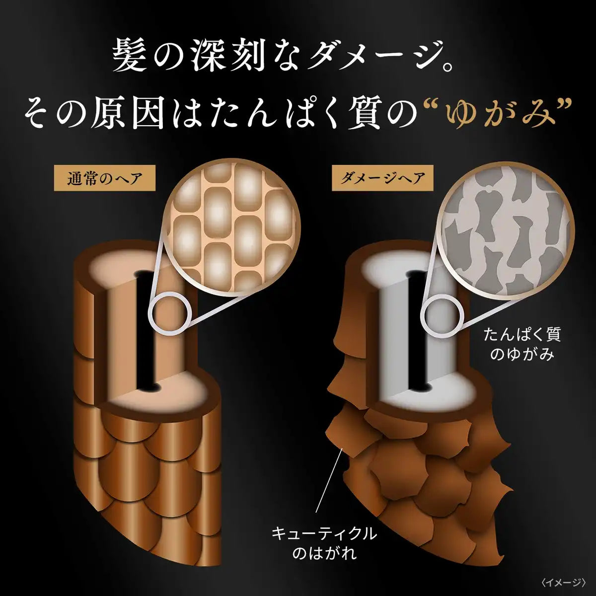 Lux Biofusion Vital Repair 发膜 180G 损伤防御护理