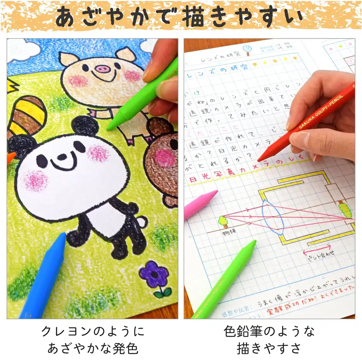 Sakura Crepas Japan Coupy Pencil 24 Colors Soft Case