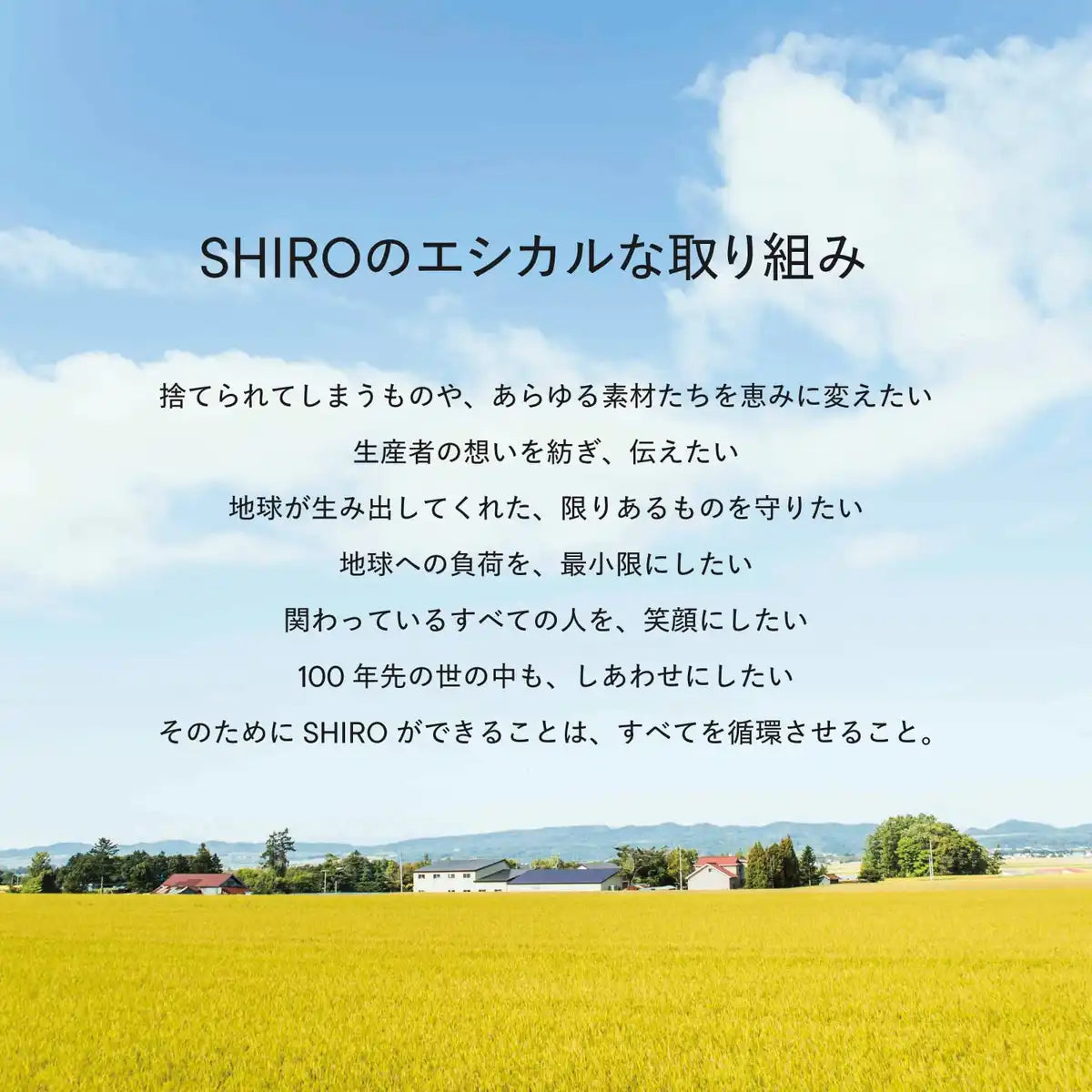 Shiro Sheer Highlighter Mimosa Beige 2B03 自然光泽彩妆