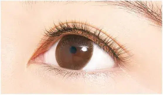 D-UP Airy Curl Lash False Eyelashes