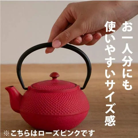 Ren Of Japan Nanbu Tekki Iron Bottle Teapot Arale Round Shape W/Tea Strainer Enamel Finish Arare Small/No Ren Original Tea