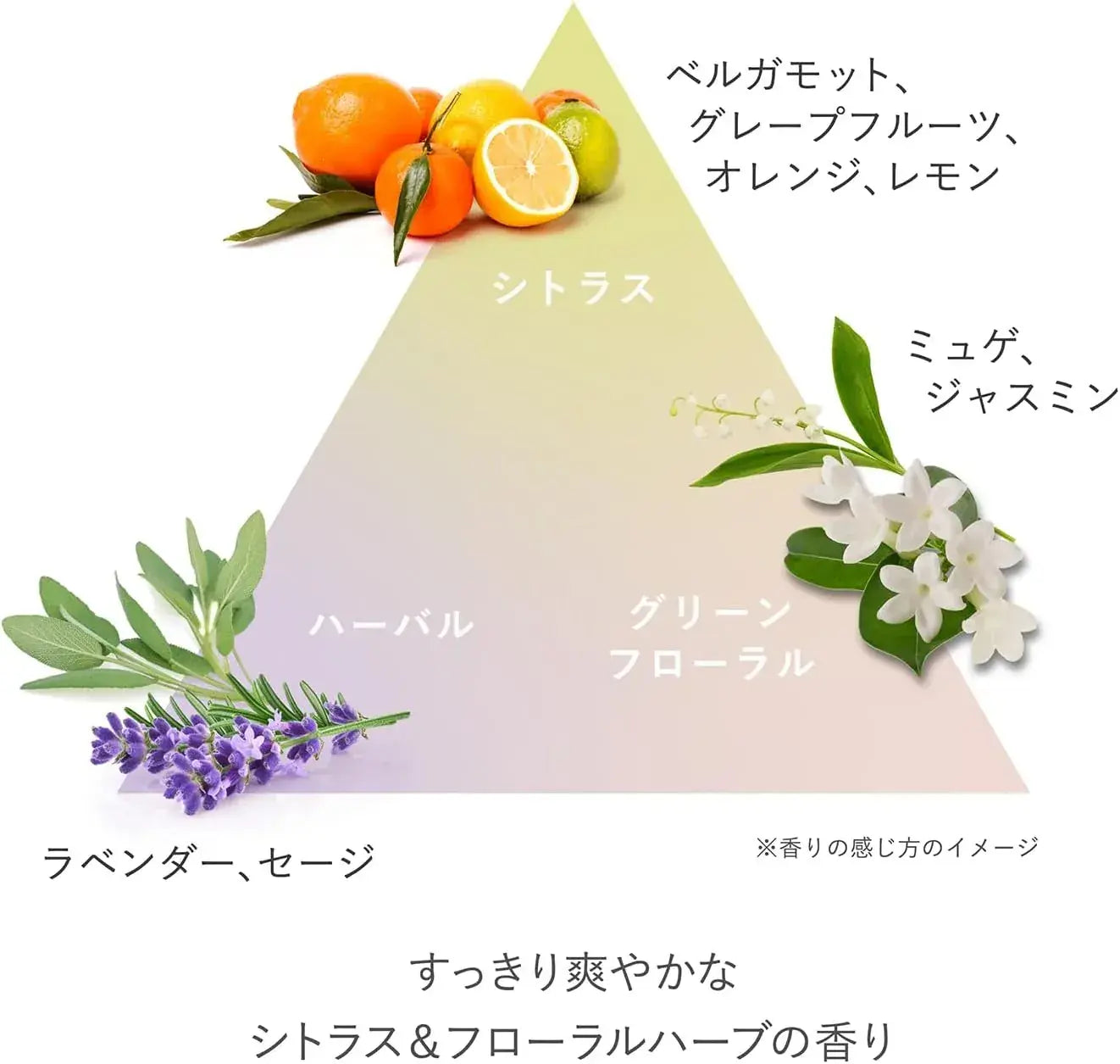 Equip RMK Official Serum Cleansing Oil