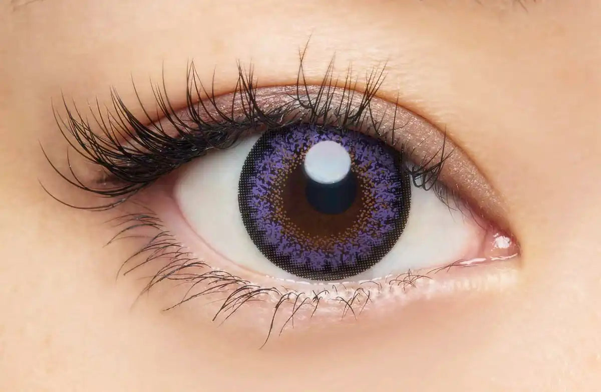 Loveil Color Contacts Lavert One Day 10 Pieces Per Box -04.50 Pwr Violet Glare Japan