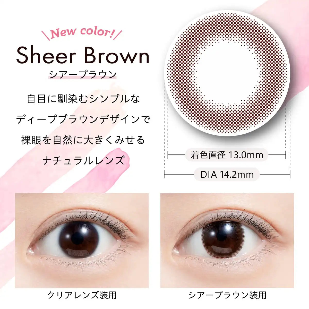 We Rejoice Feliamo Feriamo One Day Uv 10 Sheets Mai Shiraishi Japan Image Model Sheer Brown -0.50