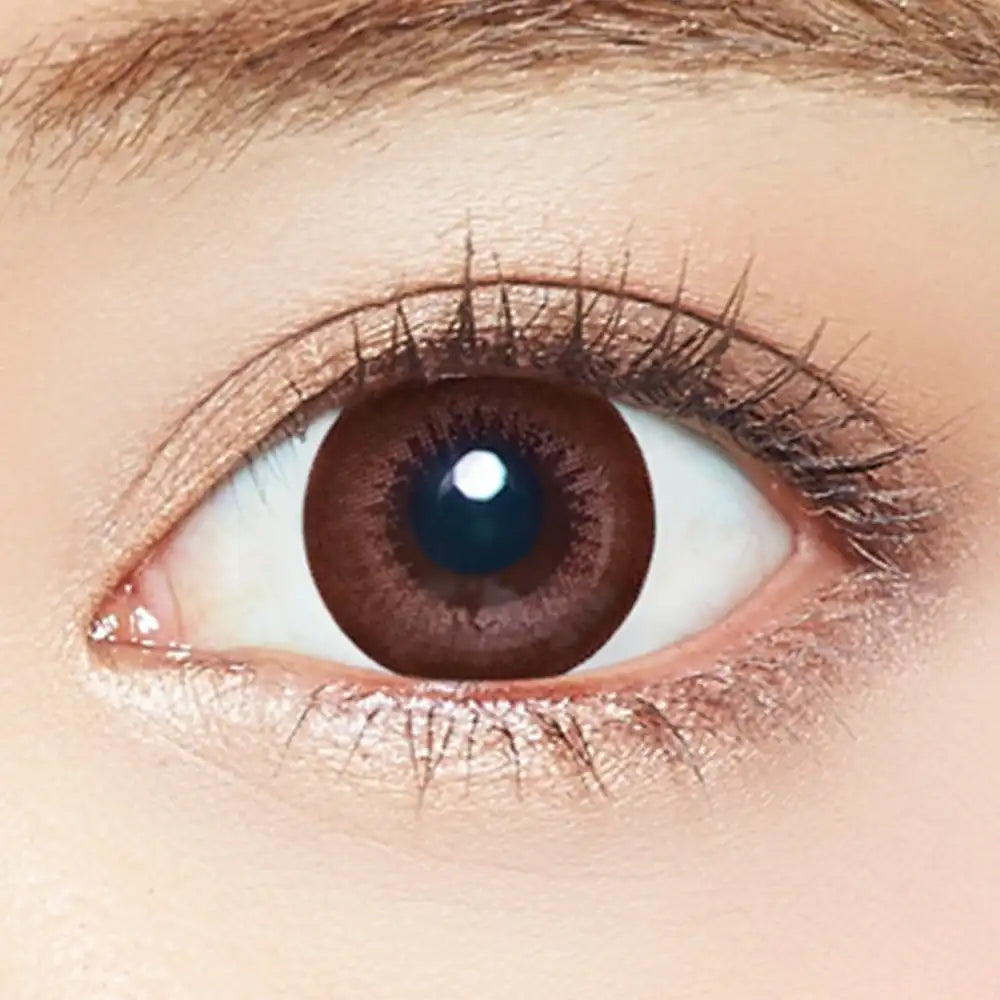 Ever Color 1Day Natural Brown Contact Lenses -2.25 20Pcs Made In Japan
