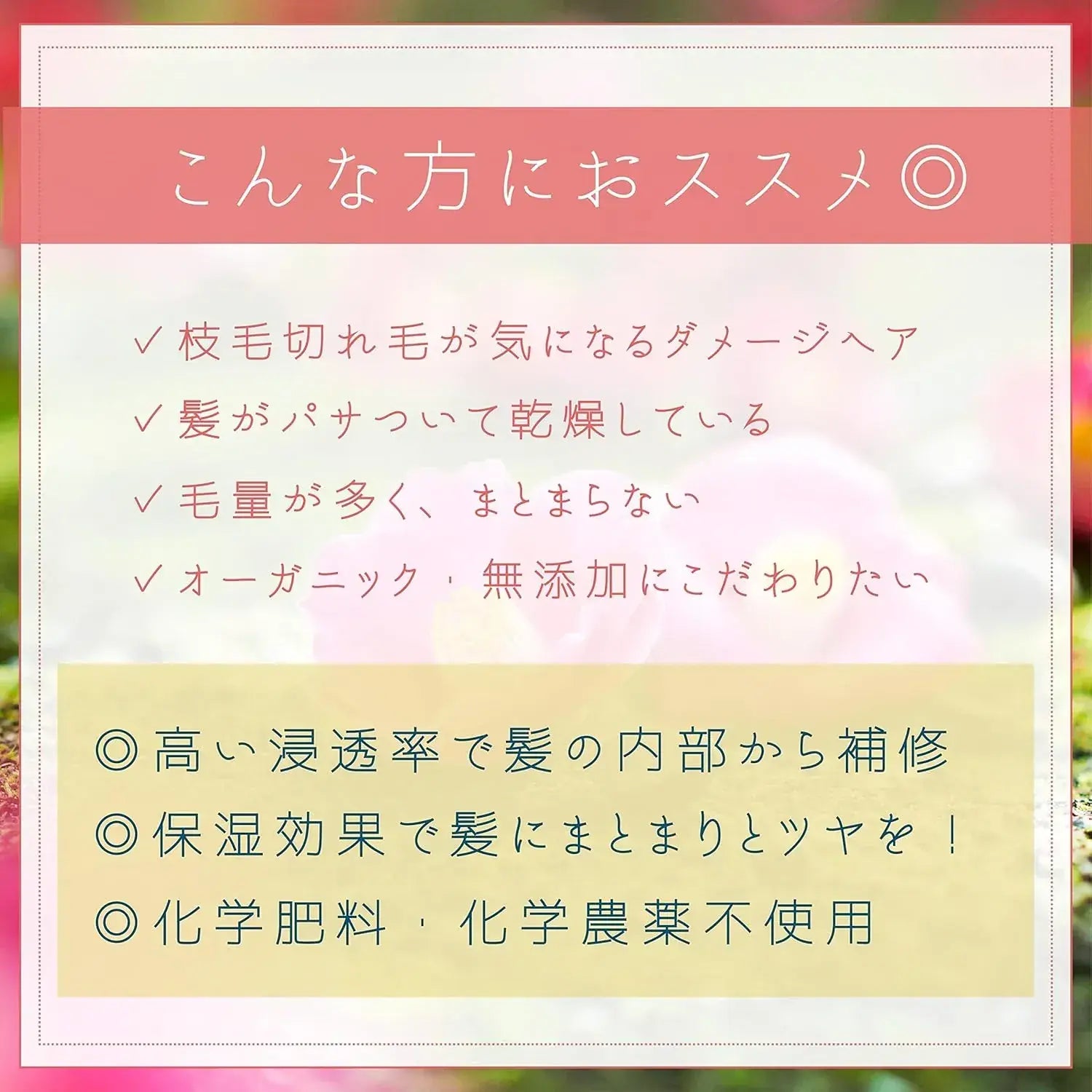 Jindai Tsubaki Shintai Camellia Pure Camellia Oil from Tokyo