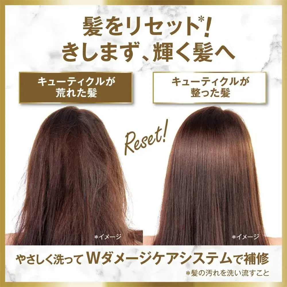 Lux Luminique Pom Pom Pom Plum Damage Repair Shampoo Conditioner