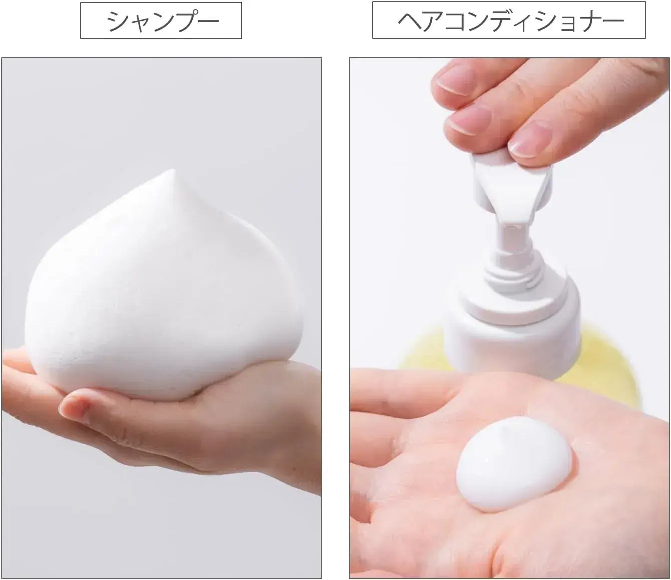 Salon Style Biolis Fleur Syrup Chikawa Pump Set Silky Smooth Shampoo Conditioner