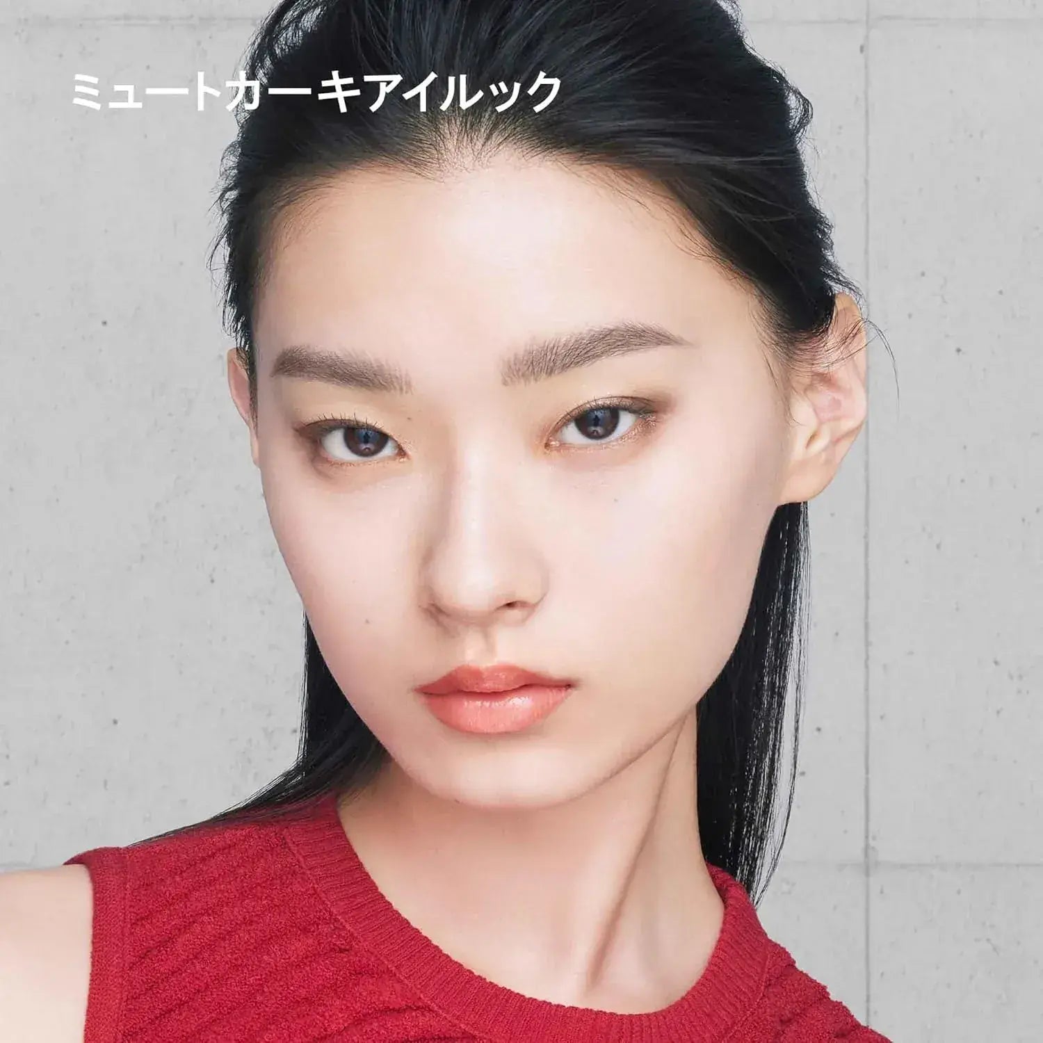 Shu Uemura Ice Sculpt Eye Shadow Matte Finish
