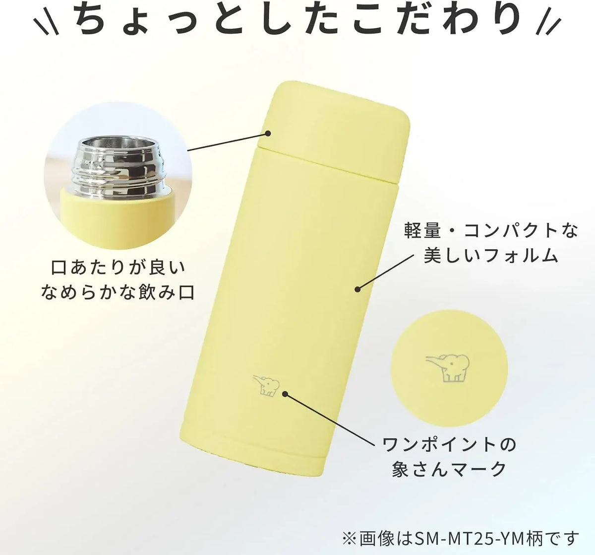 Zojirushi Stainless Steel Water Bottle