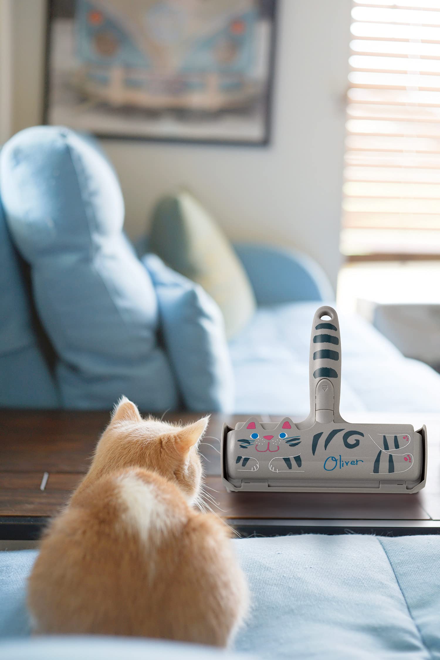 Pakupaku Roller Oliver Reusable Cat Hair Removal Brush Cleaner For Dog/Cat/Pet Carpet/Mat - Japan Seal Direct Sales