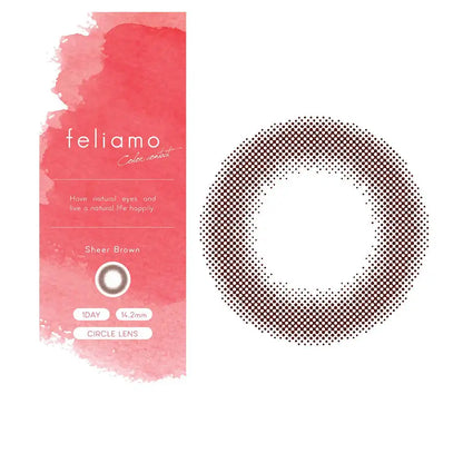 We Rejoice Feliamo Feriamo One Day Uv 10 Sheets Mai Shiraishi Japan Image Model Sheer Brown -0.50