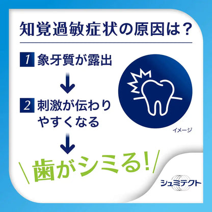 Schmitect Japan Complete One Ex Sensitive Care Fluorine Toothpaste 1450Ppm 1X1
