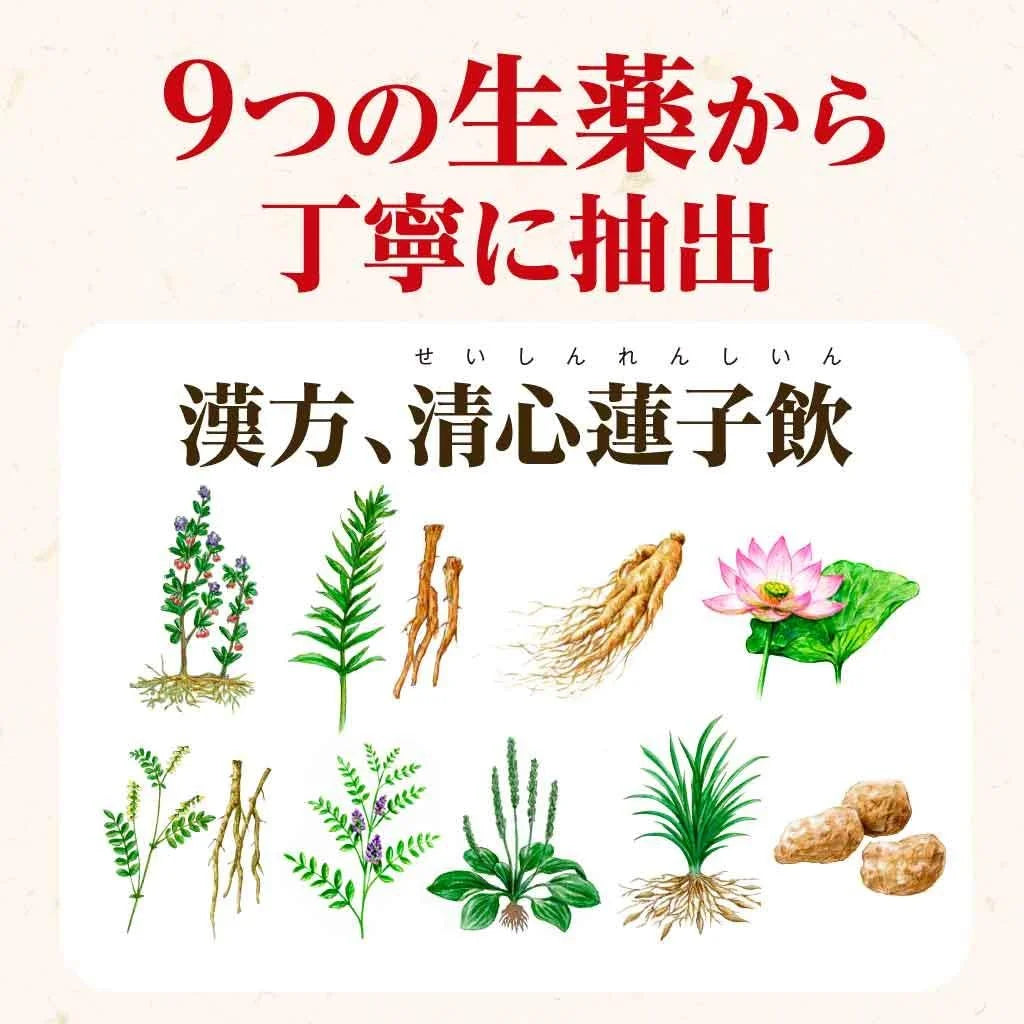 Urinal B 60 Tablets [2 Drugs] From Japan