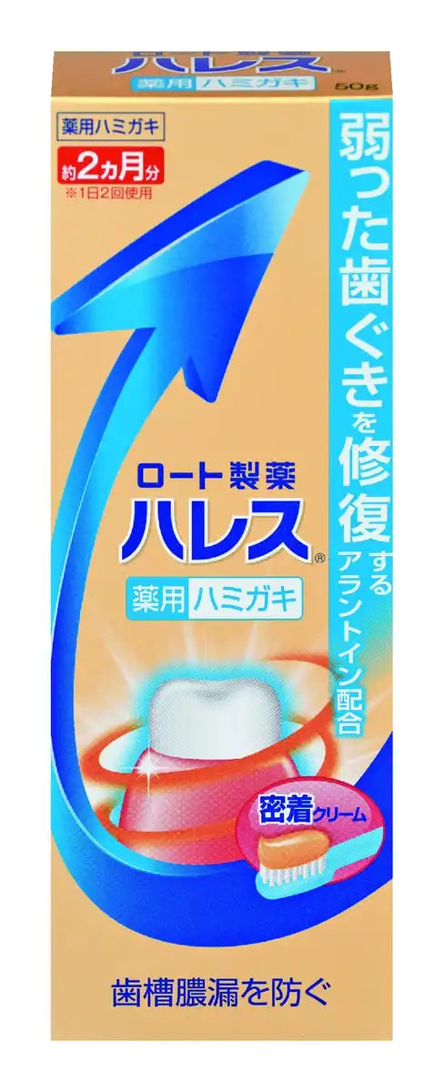 Rohto Pharmaceutical Hales Dentifrice 50g Tube Unique pour Soin Buccal