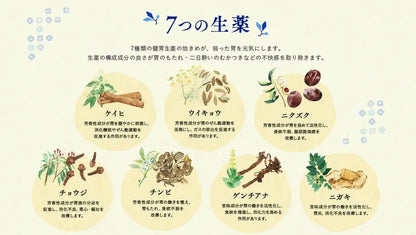 Ohta'S Isan Japan 2 Drug 75G