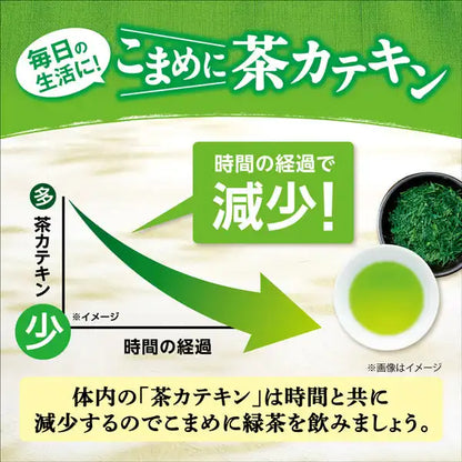 Ito En Oi Ocha Eco Tea Green Tea 22 Bags - Green Tea From Japan - Eco-Friendly Green Tea Bag