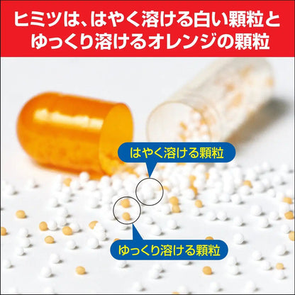 Pablon Pabron Rhinitis Relief Capsules 48ct | Fast-Acting Allergy Support