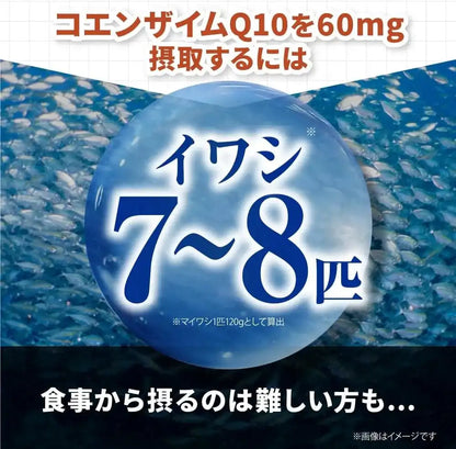 Kobayashi Pharmaceutical Coenzyme Q10 and Pinogenol Supplement