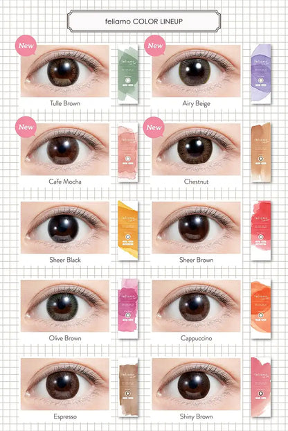 Ferriamo One Day Uv 10Pcs 2 Box Set Mai Shiraishi Image Model Shiny Brown 1.75 Japan