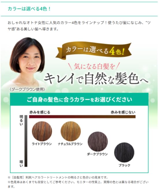 Sastty Rishiri Hair Color Treatment Black 200g for Gray Hair Coverage