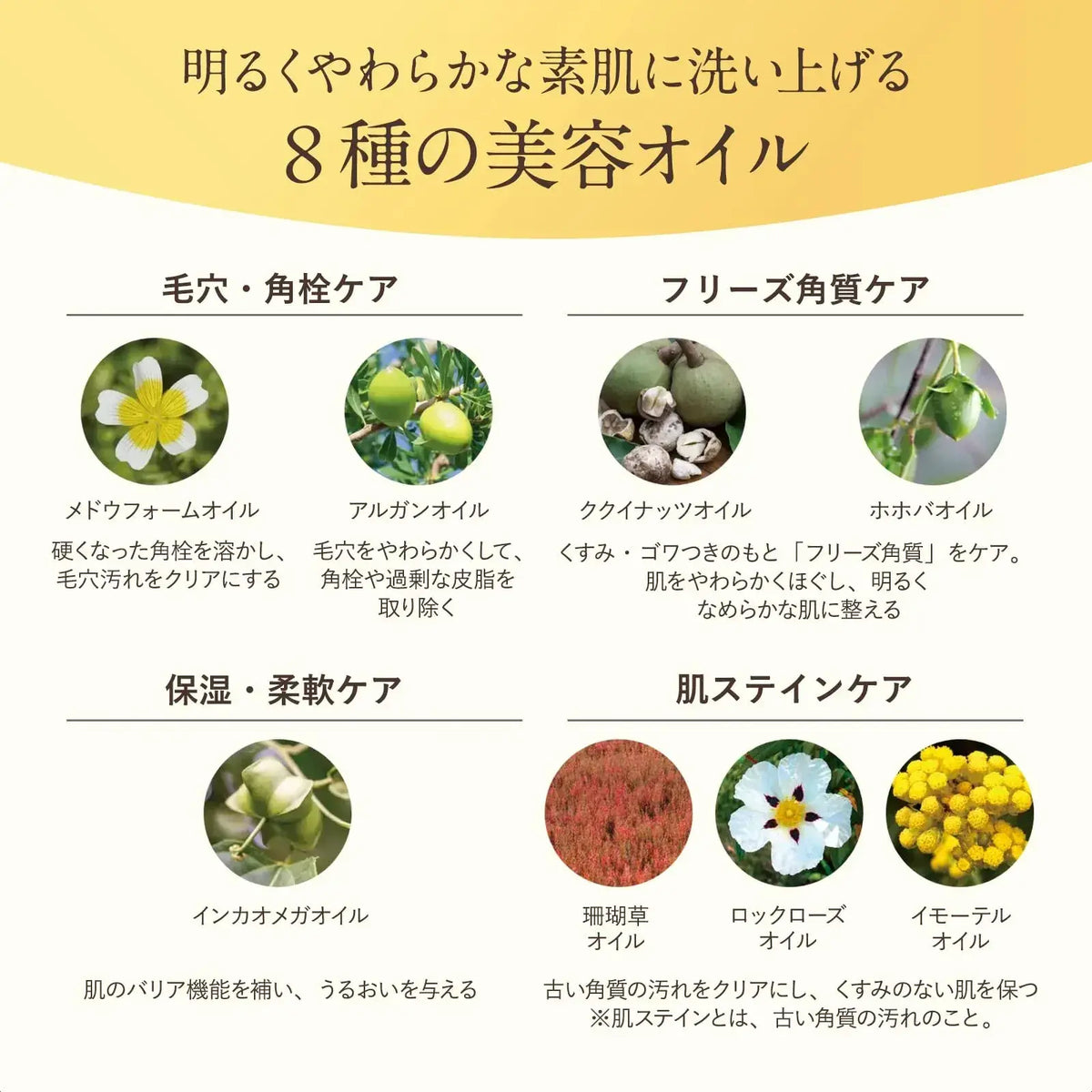 Attenir Skin Clear Cleansing Oil
