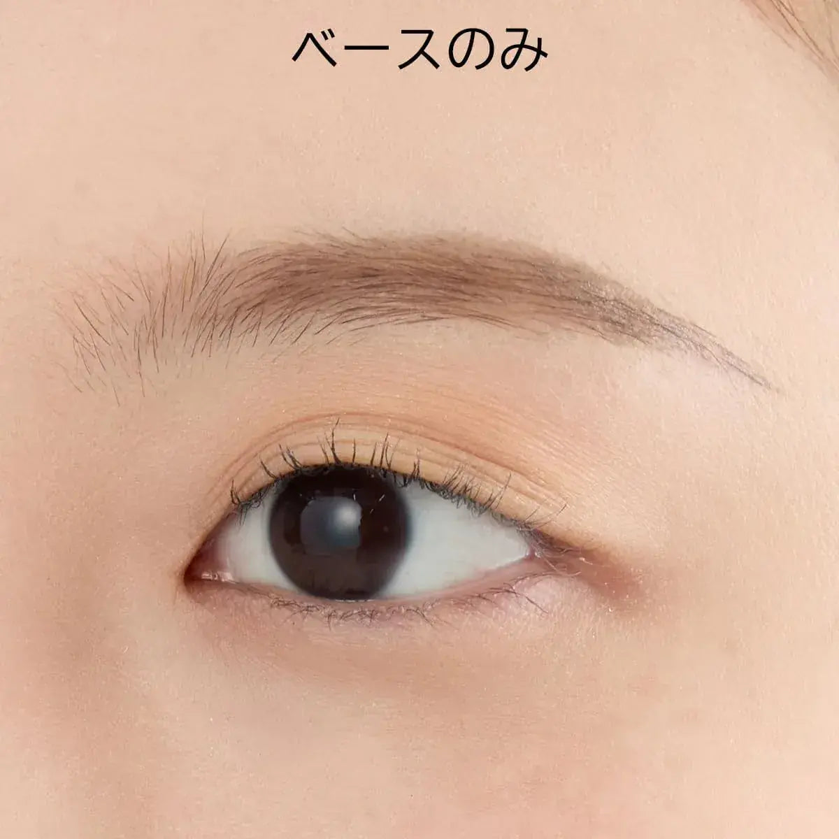 Chacott 280 Morve Brown Eyebrow Powder