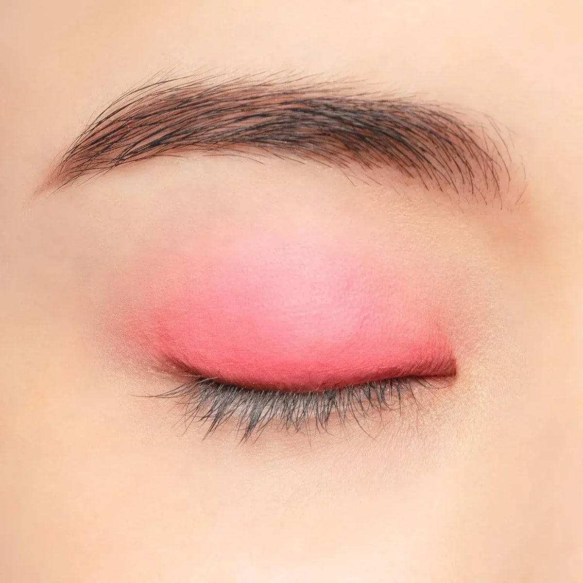 Chacott Matte Red Multi Color Variation Makeup Powder