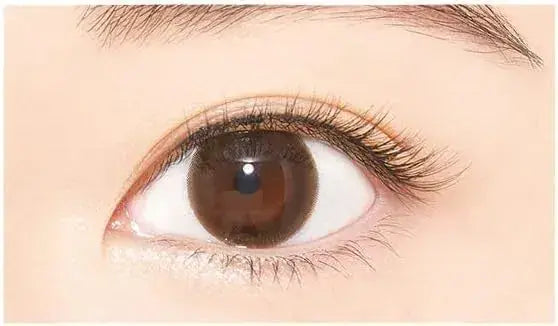 D-UP Airy Curl Lash False Eyelashes