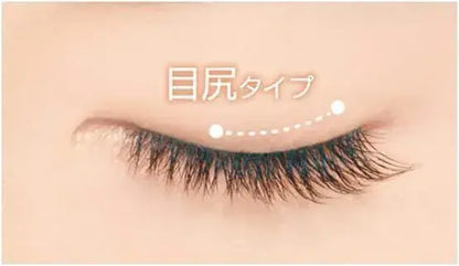 D-UP Airy Curl Lash False Eyelashes