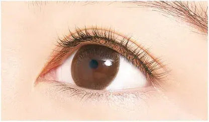 D-UP Airy Curl Lash False Eyelashes