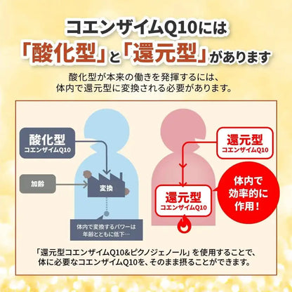 Kobayashi Pharmaceutical Coenzyme Q10 and Pinogenol Supplement