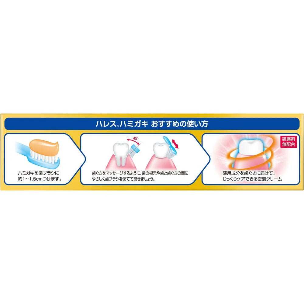 Rohto Pharmaceutical Hales Dentifrice 50g Tube Unique pour Soin Buccal