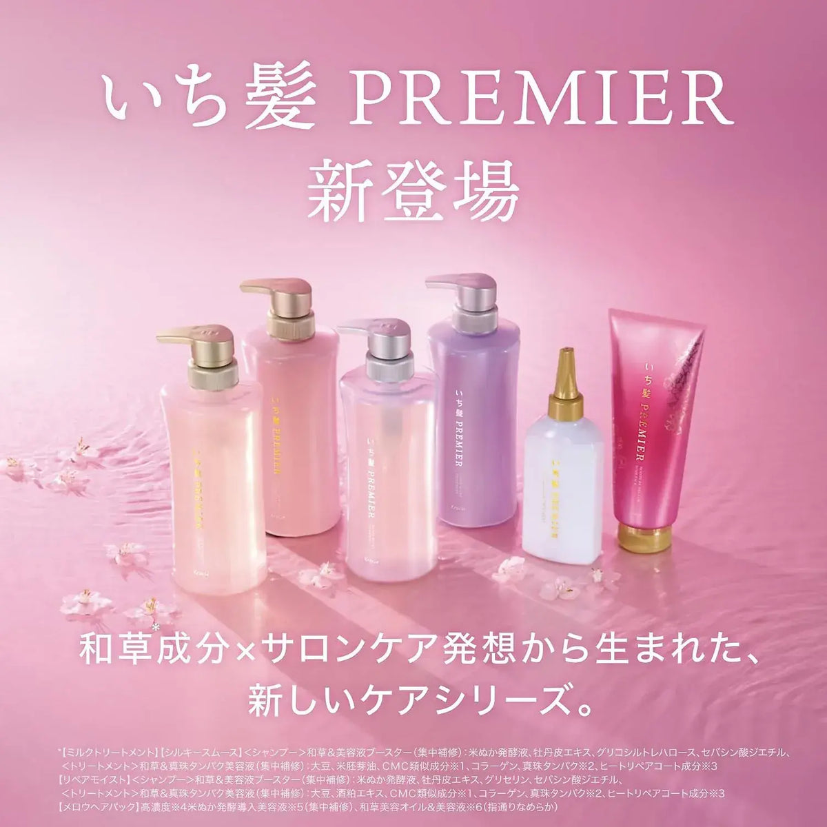 Ichikami Silky Smooth Shampoo and Treatment Set Pump Trial