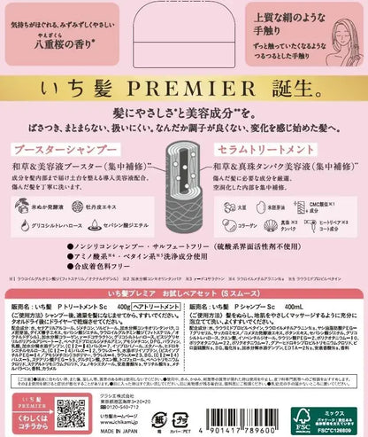 Ichikami Silky Smooth Shampoo and Treatment Set Pump Trial