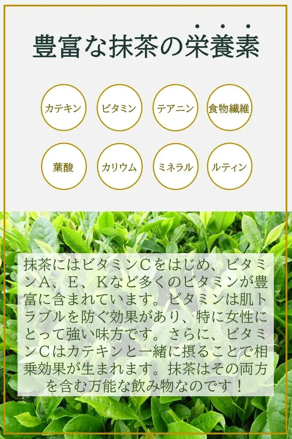 Jeau Chau Uji Matcha Powder Green Tea