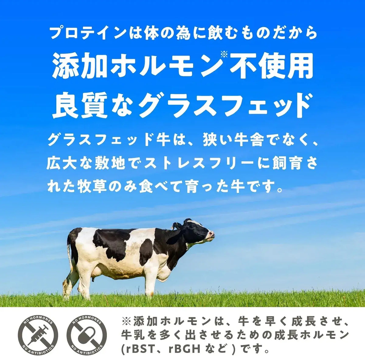 LohaStyle Grassfed Whey Protein Additive-Free Plain No Sweeteners