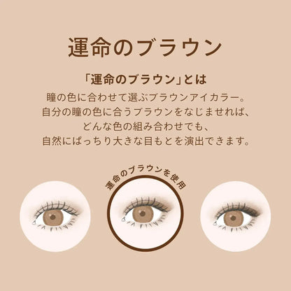 Maquillage Customized Eye Color Assortment Eye Shadow