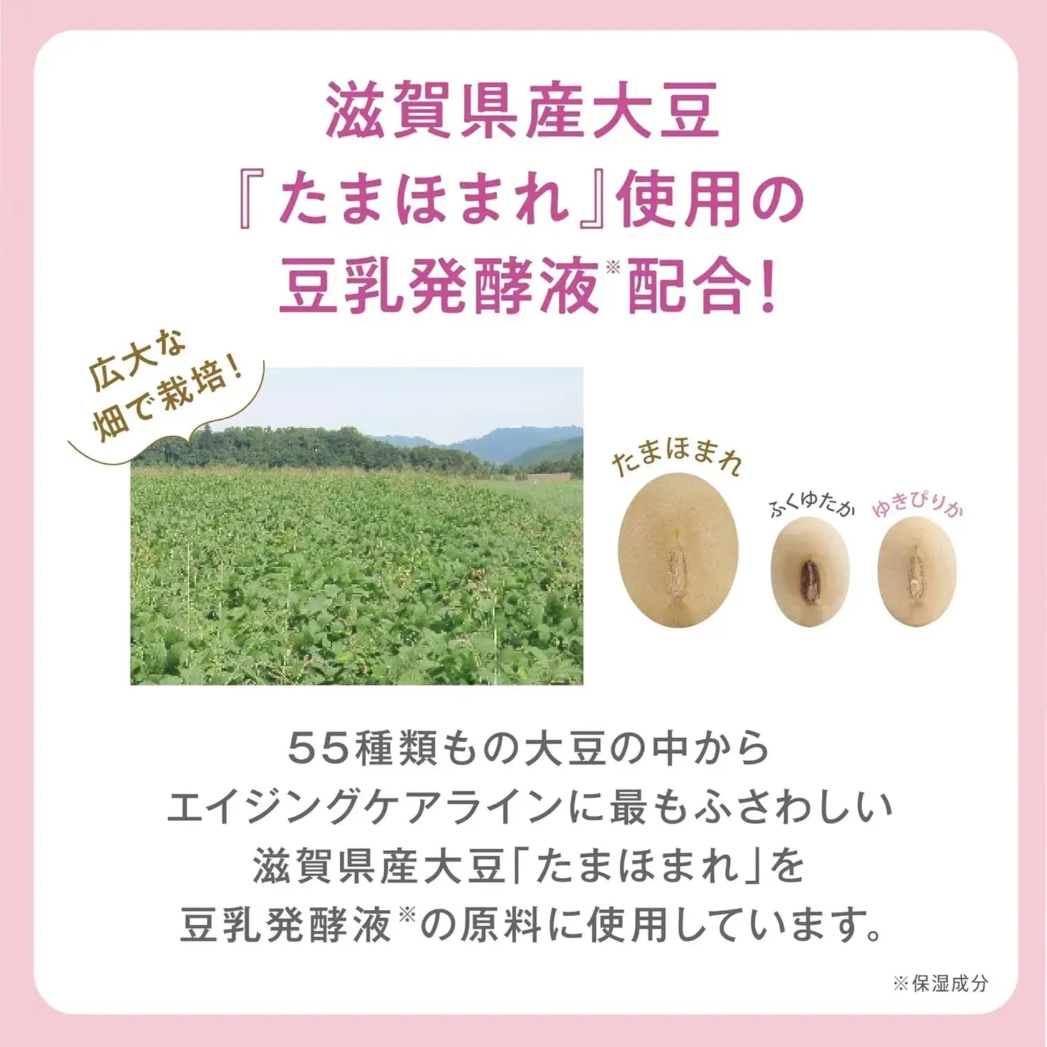 Nameraka Honpo Medicated WR Cleansing Cream with Retinol & Soy