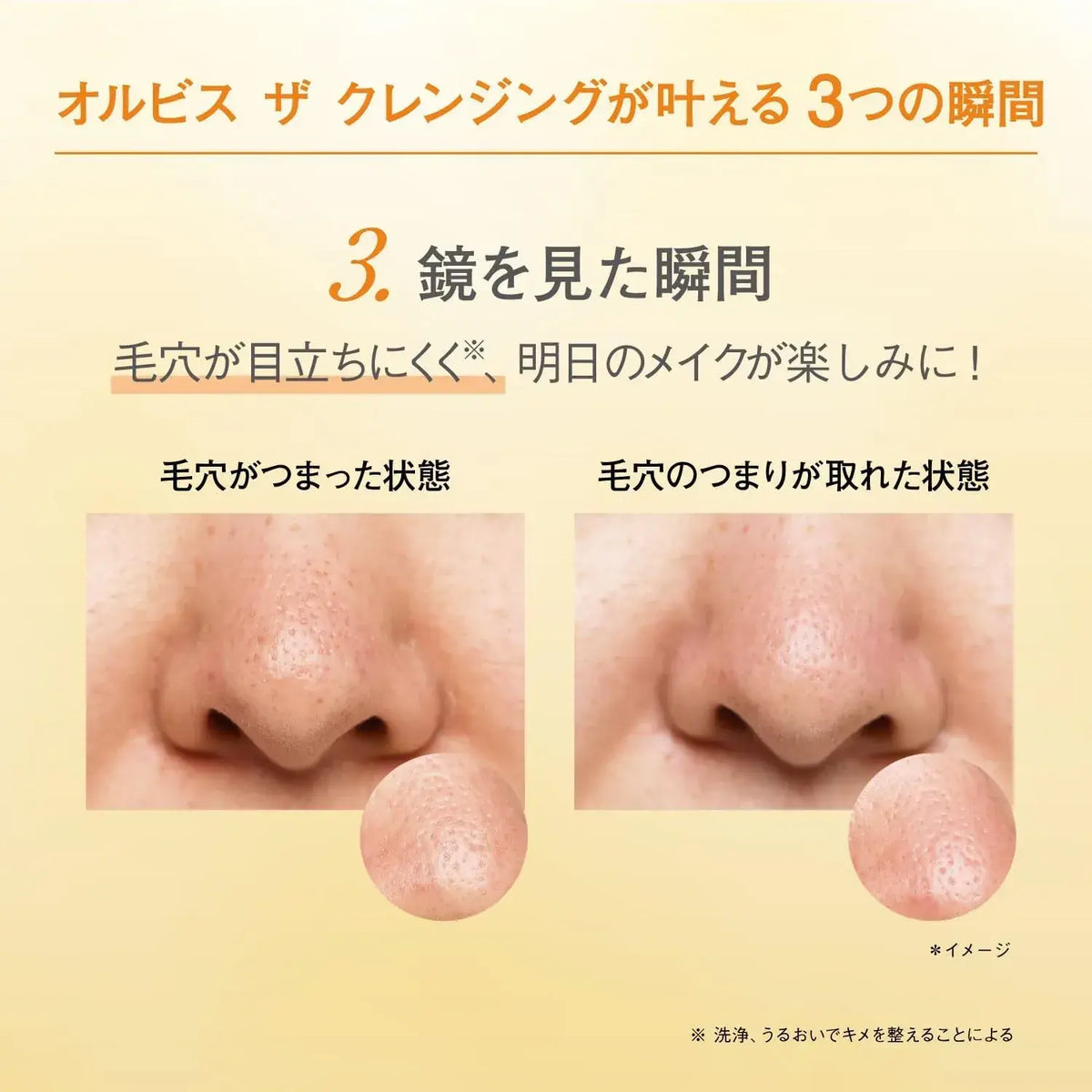 Orbis The Cleansing Oil Facial Cleanser