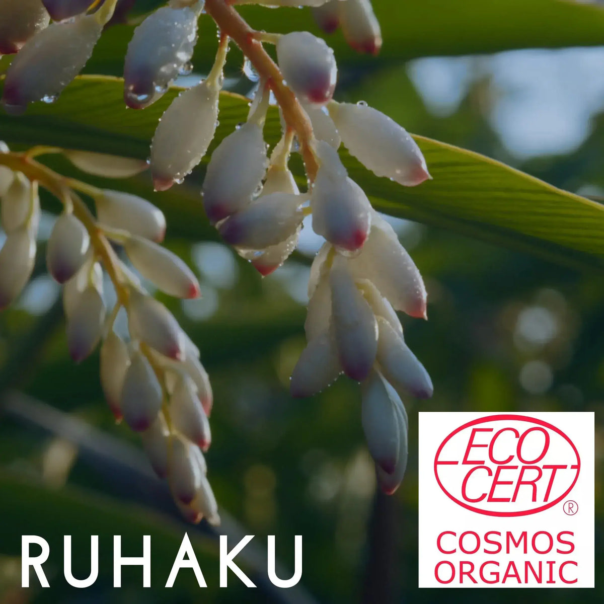 RUHAKU Gekko Reset Cleansing Oil 150ml