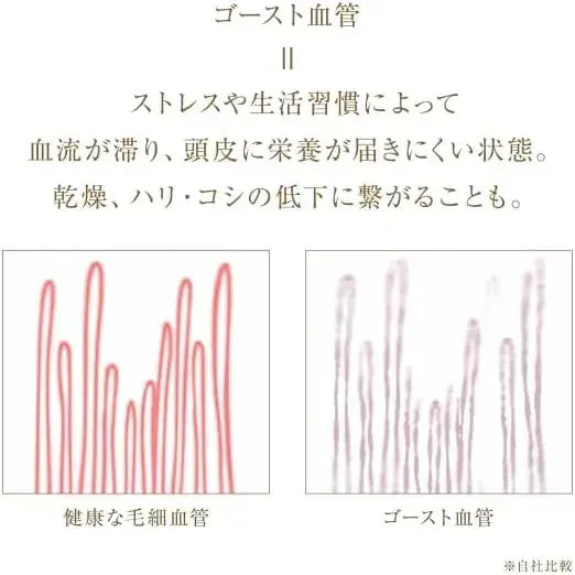Uka IZU Chromoji Scalp Serum Hair Growth Care