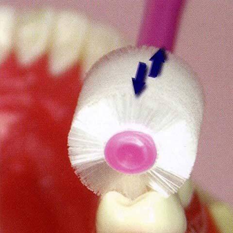 Higuchi Stb Baby Toothbrush (1 random color) - 360 Degree Cylindrical Cleaning